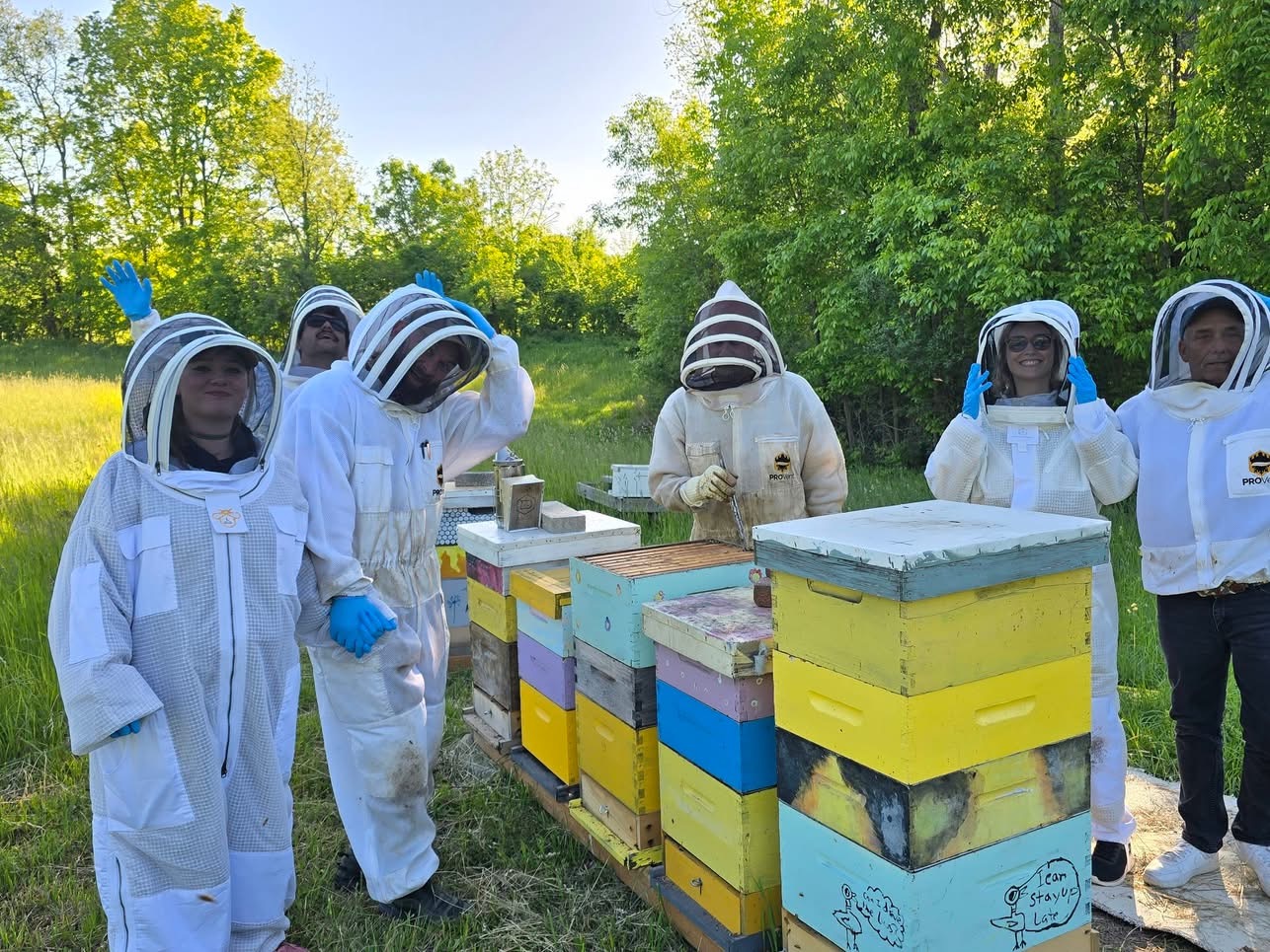 Beekeepers learning together beside active hives