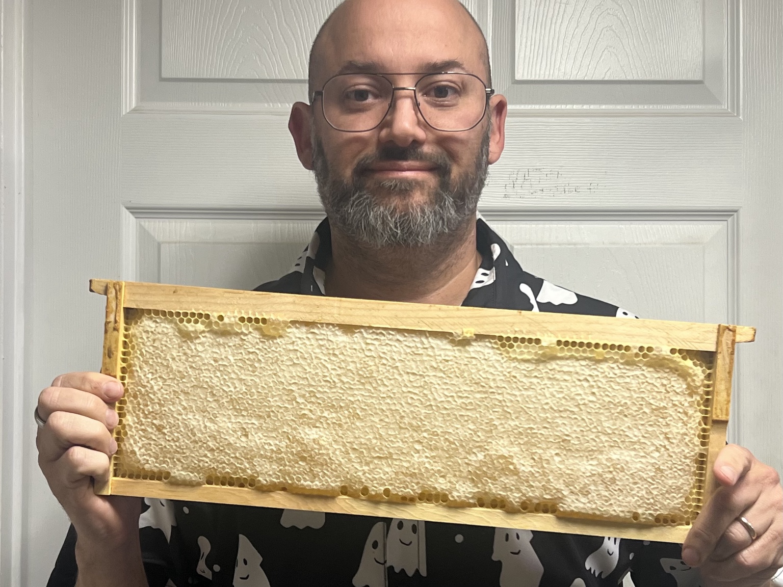 A freshly removed frame filled with capped honey